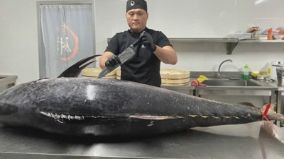 Exhibición de despezamento manual dun atún vermello en Lugo