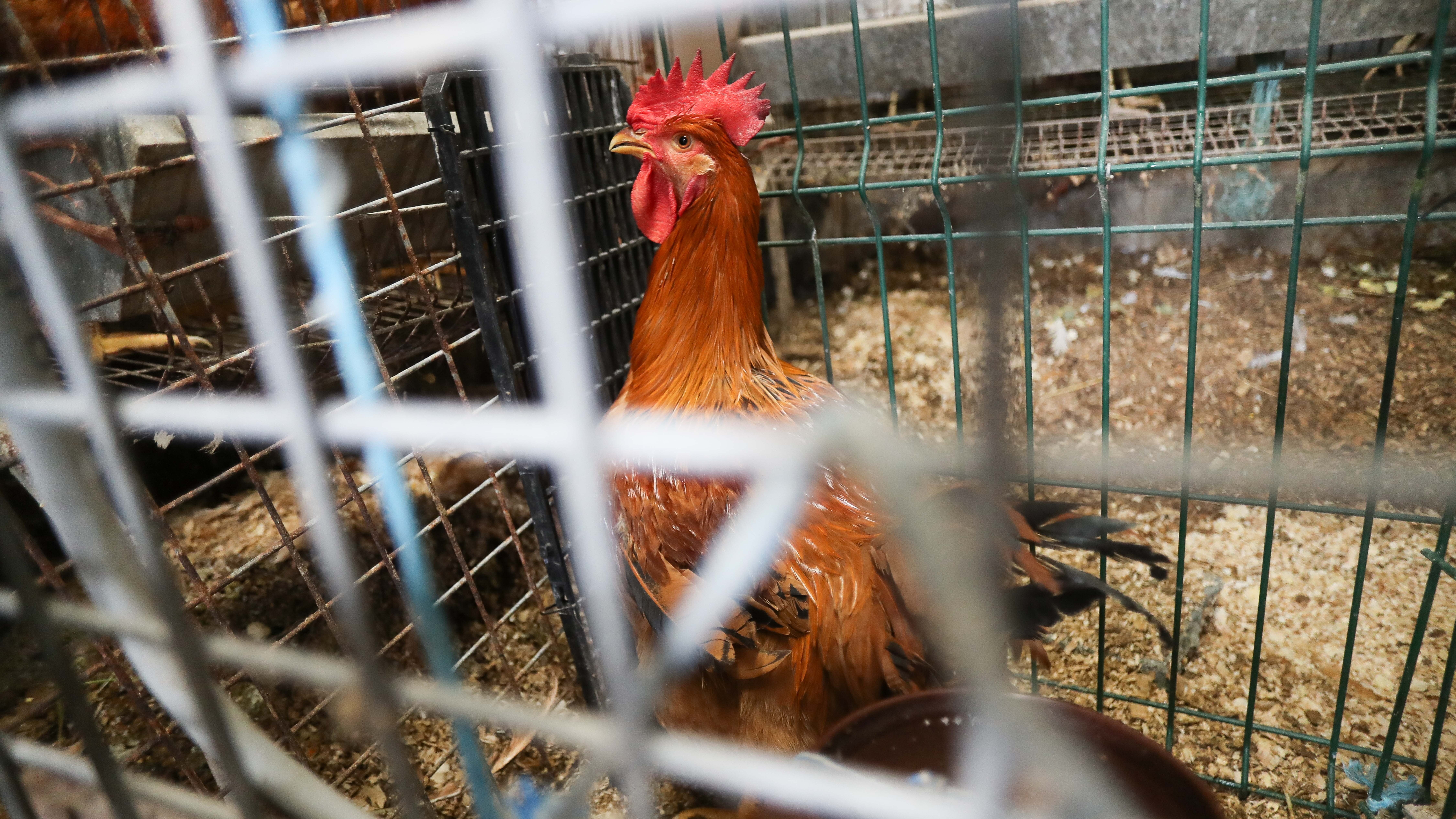 EUROPA PRESS/Carlos Castro