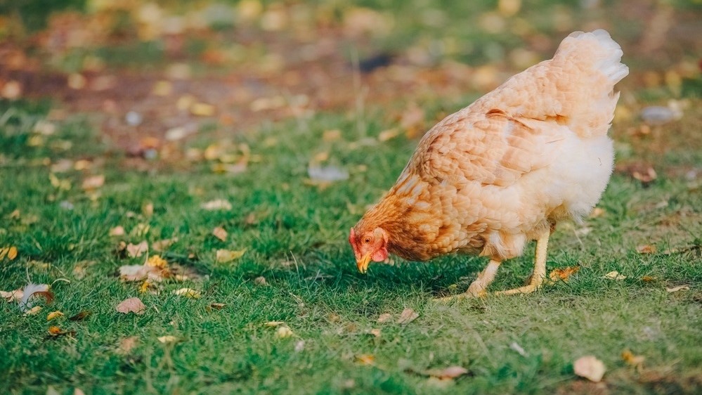 Foto: Goberno de Asturias