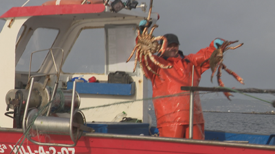 Os tripulantes do Mar e Mar exhiben dous exemplares de centola que capturaron este luns