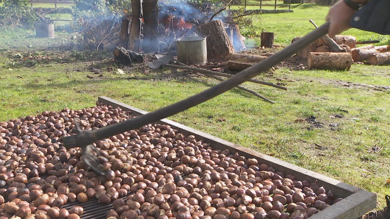 As castañas, grandes protagonistas nesta xornada