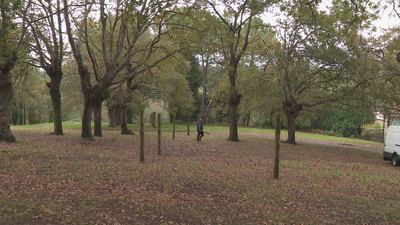 Imaxe inédita da carballeira de Francos baleira durante a Feira de San Martiño