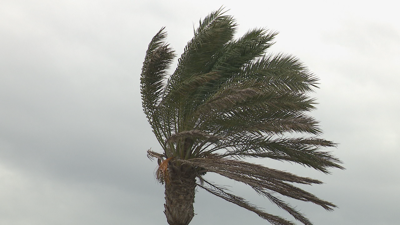 (Vídeo: cámara web CSAG Muxía)