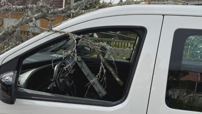 Na imaxe: estado en que quedou un taxi, atravesado por unha póla en Moaña (cedida)/No directo, imaxe da cámara web situada no edificio do Pavillón Náutico do Grove