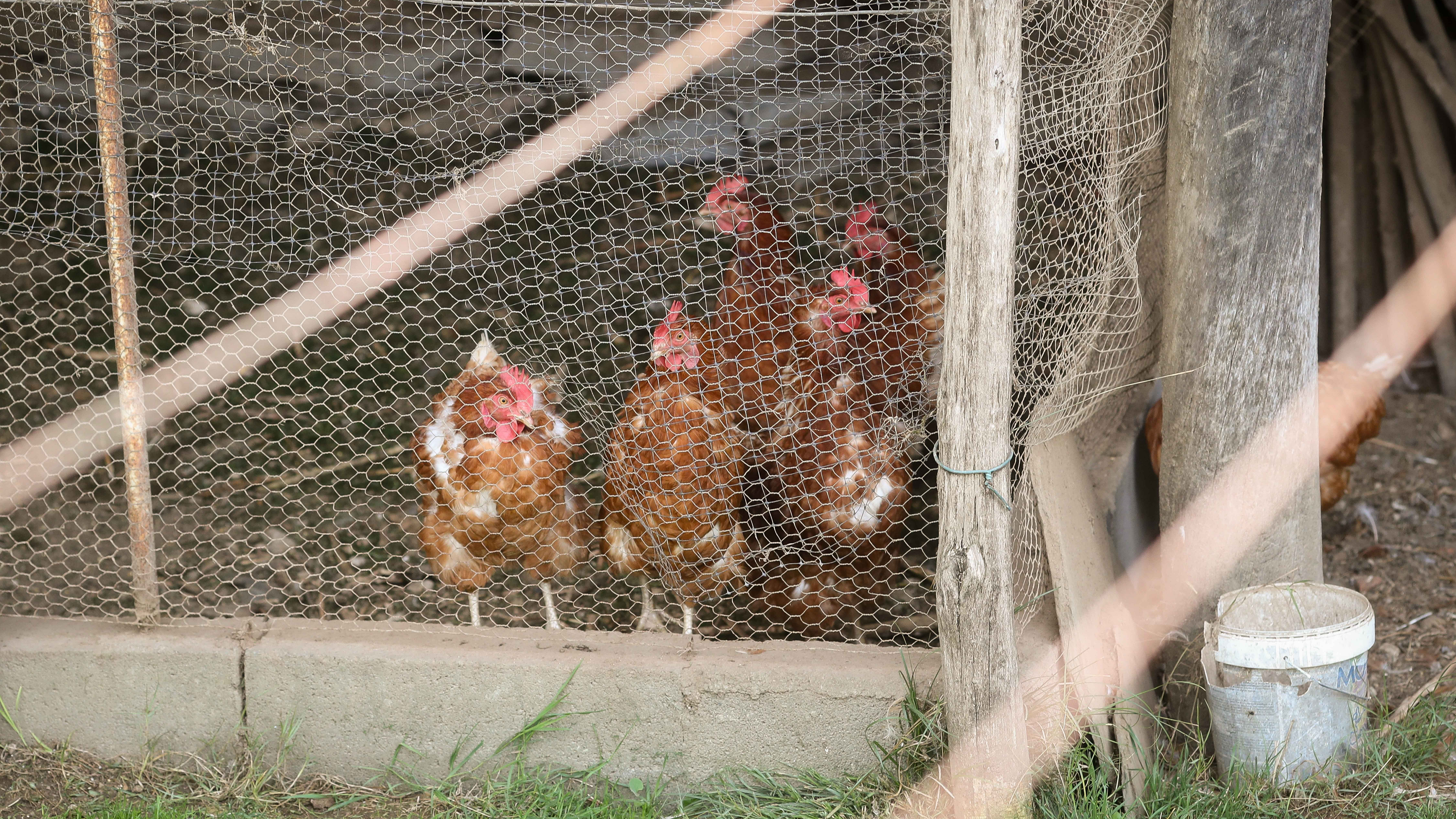 Carlos Castro/Europa Press