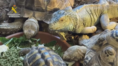 Imaxe cedida pola Garda Civil