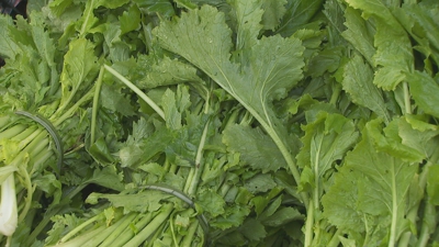 A xente xa se está animando a mercar as nabizas