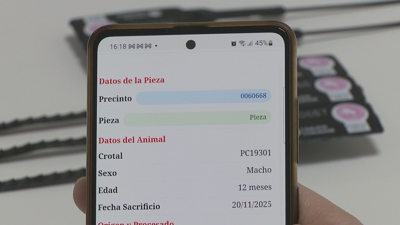 Información que se pode consultar tras escanear o código QR dun porco celta