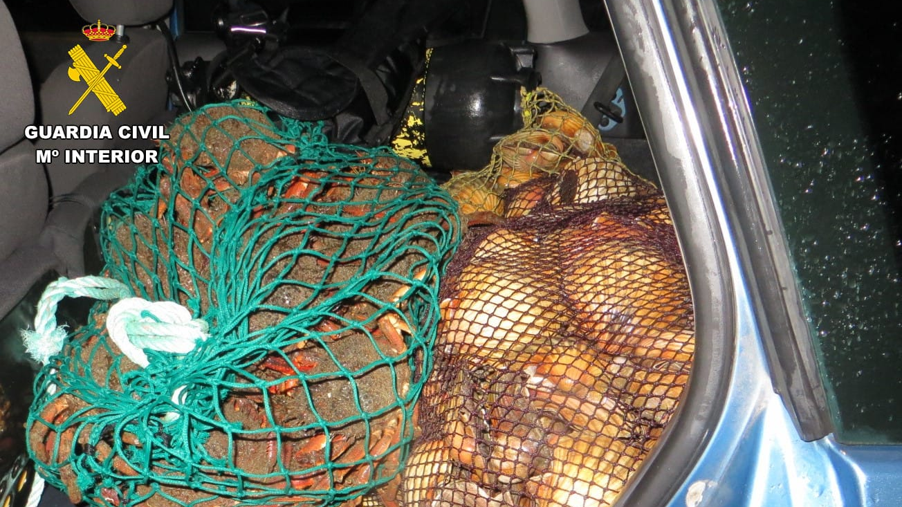 O marisco incautado no maleteiro do coche. Foto: Garda Civil