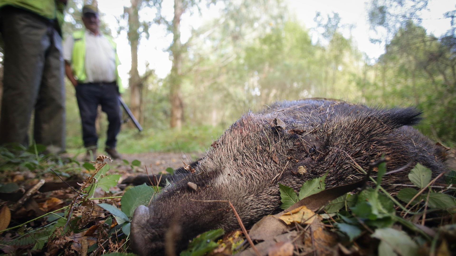 (Carlos Castro-Europa Press-Arquivo)