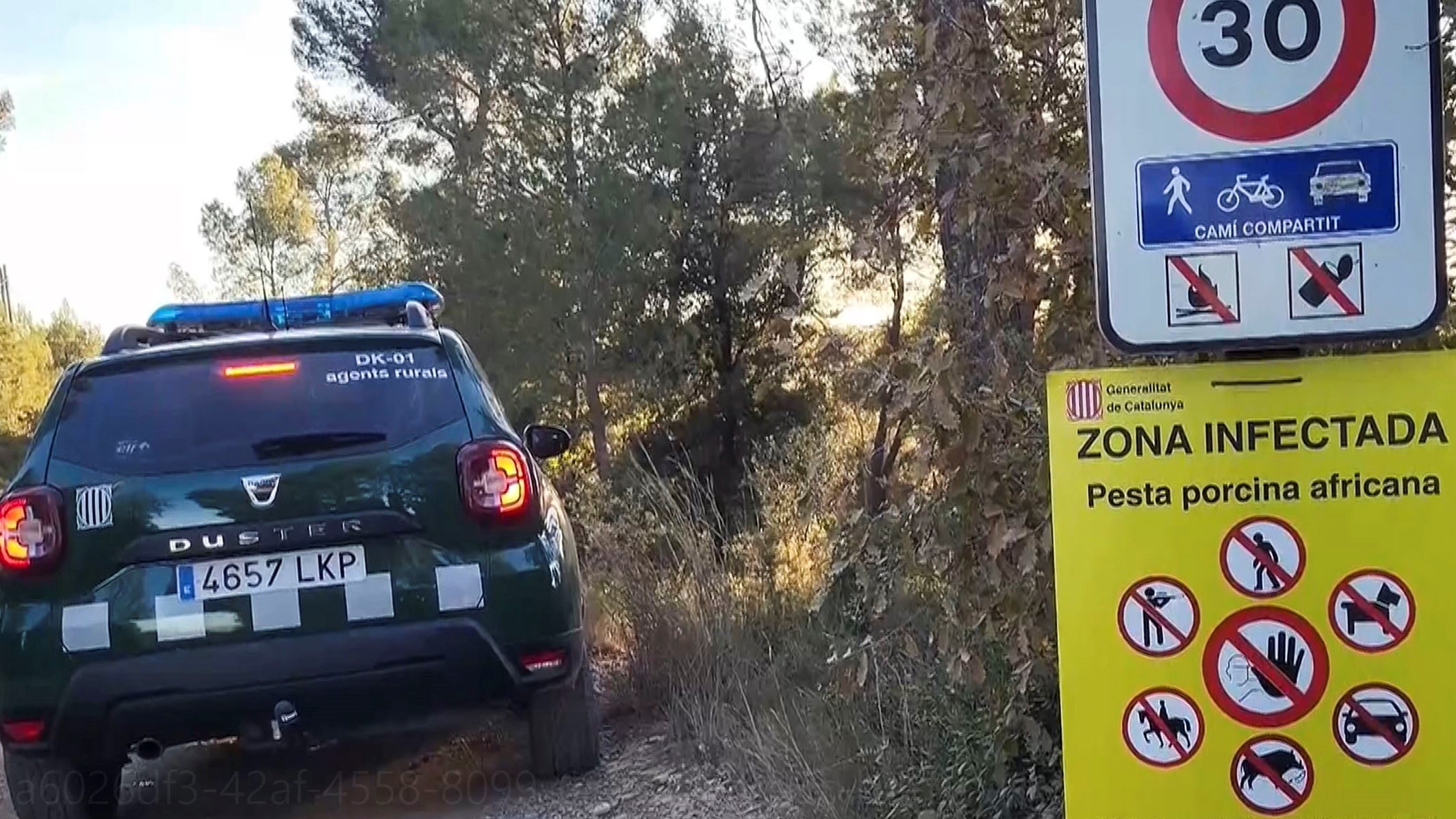 Dispositivo na serra de Collserola. EFE/Axentes rurais de Cataluña