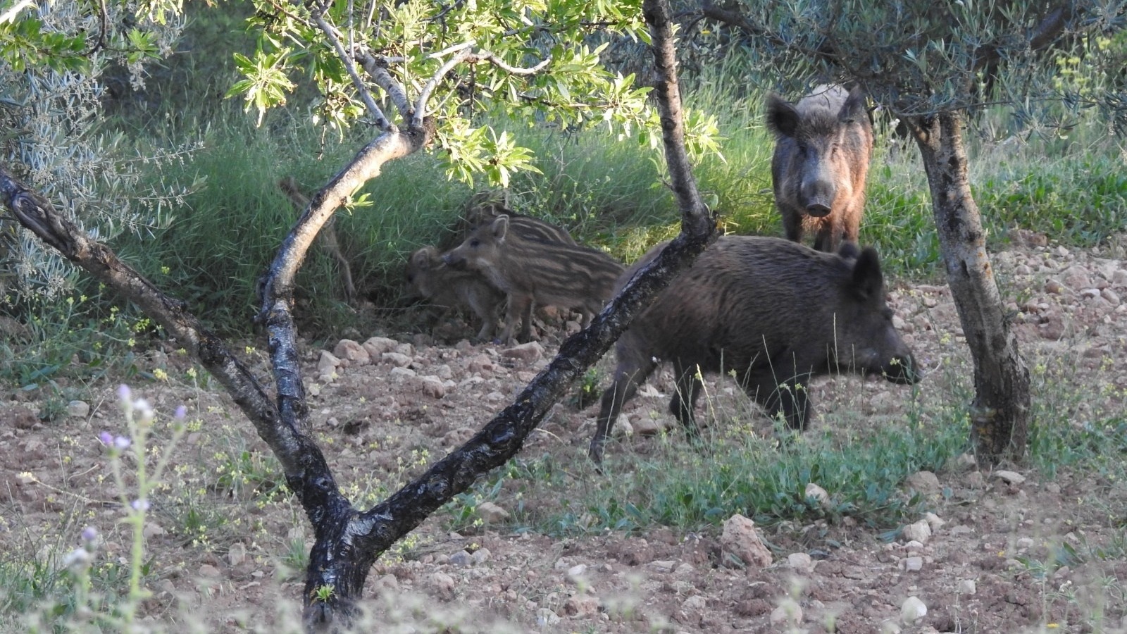 Arquivo Europa Press