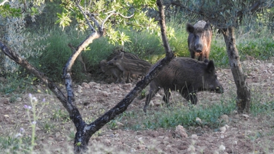 Arquivo Europa Press