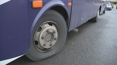 Imaxe da parte traseira dun dos autobuses pintados