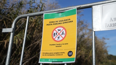 D.Zorrakino./ Europa Press