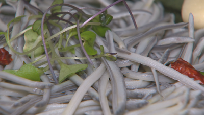 So en alimentación, o gasto medio para o Nadal por persoa estímase en torno aos 300 euros