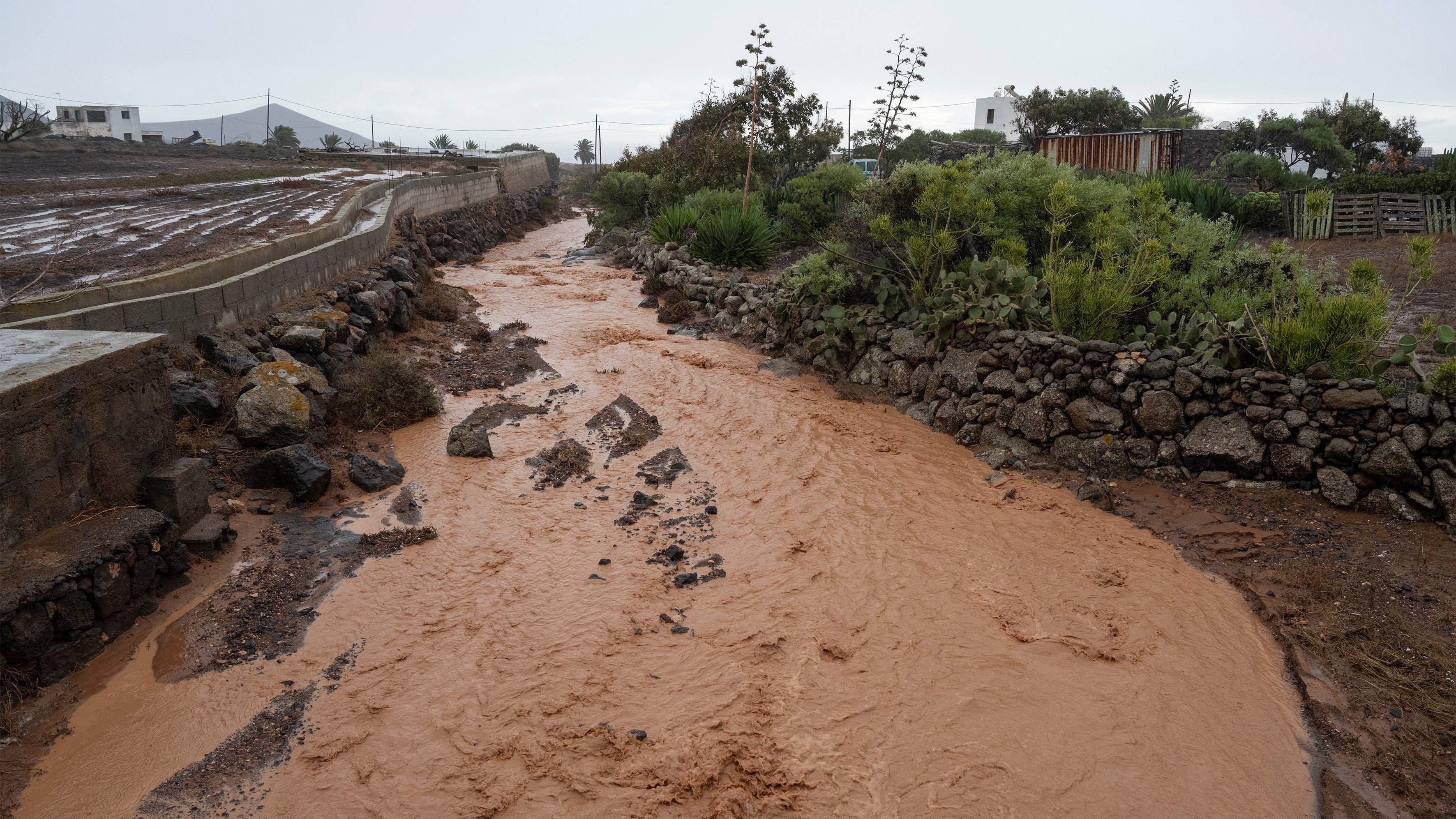 Barranco de auga en Guatiza (Lanzarote) este sábado. EFE/Adriel Perdomo