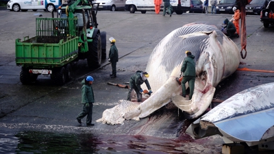 (Europa Press/Gustavo de la Paz)