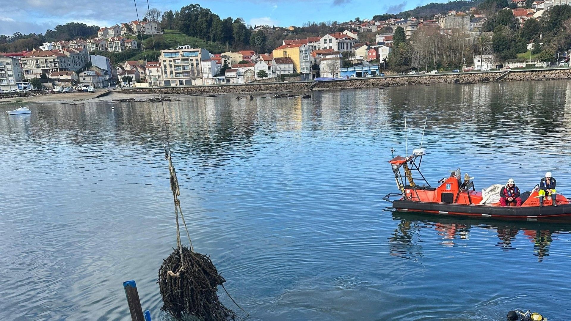 Imaxe do porto de Moaña