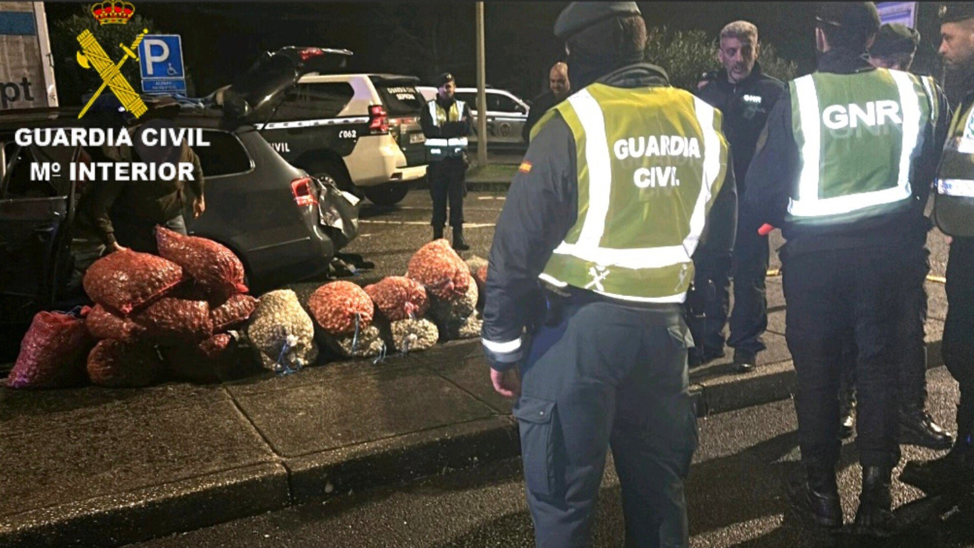 Imaxe dos Gardas Civís e da GNR fronte ás bolsas de bivalvos interceptados-Garda Civil