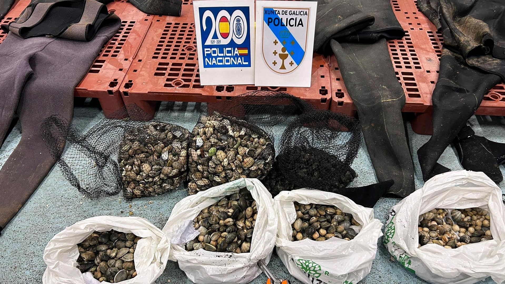 Produtos comisados pola Policía Nacional na operación contra o furtivismo en Boiro