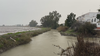 Zona da canle de rego de Isla Maior (Sevilla) onde localizaron o cadáer dun hoe tras caer un coche á auga