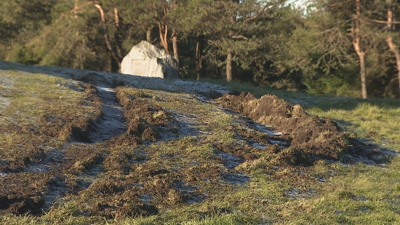 Rodeiras no espazo natural que rodea o santuario chantadino