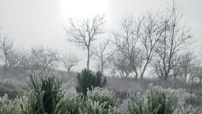 Mañán de xeada e neboa na comarca da Limia o pasado 31 de xaneiro ás 11:30 horas. Foto: C. Martínez