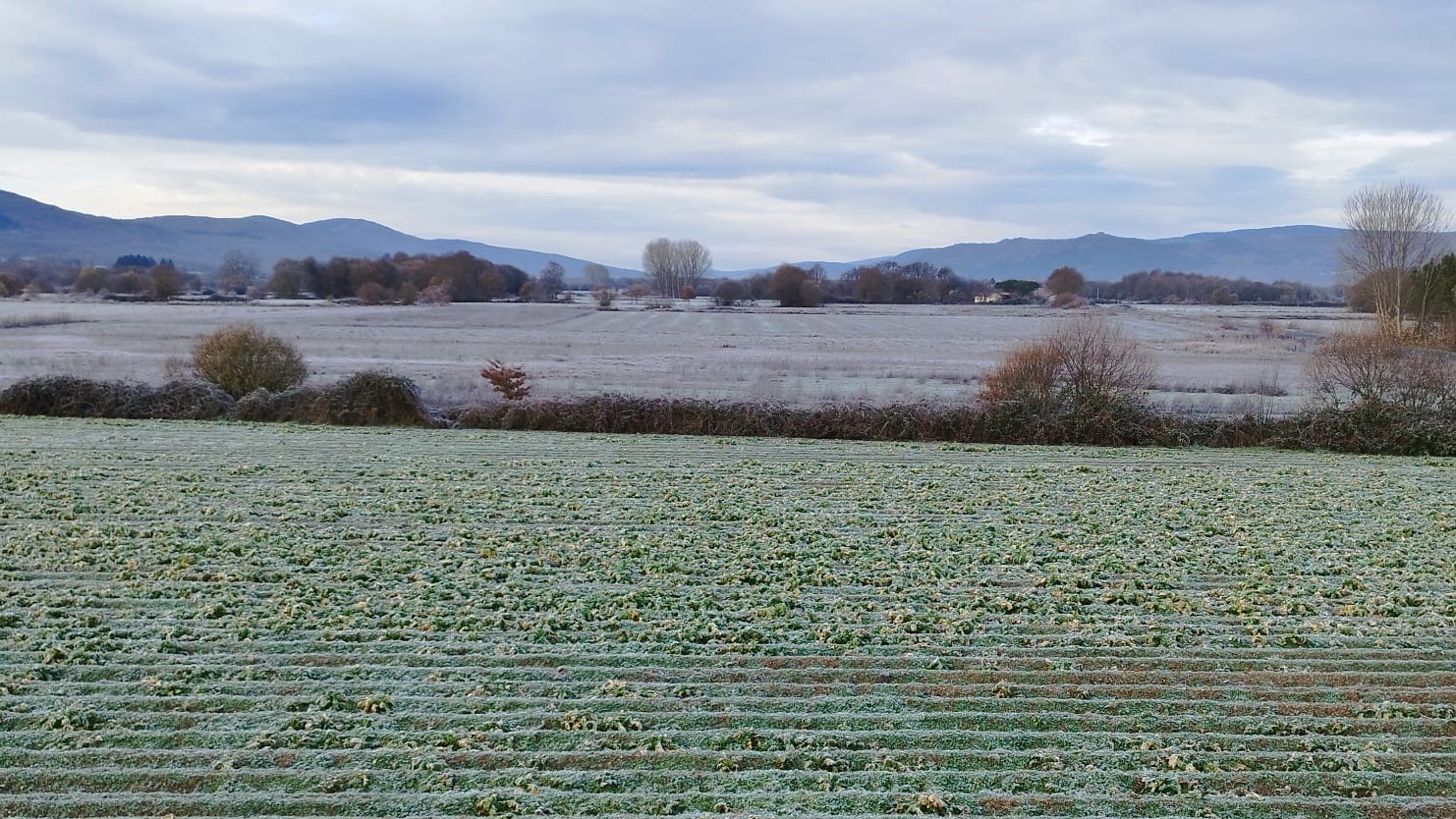 Xeada na Limia, Ourense, o pasado 30 de xaneiro ás 11 da mañá. Foto: C. Martínez