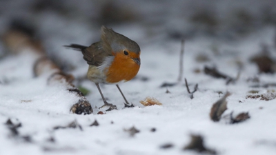 O Cebreiro, Lugo. EFE / Eliseo Trigo