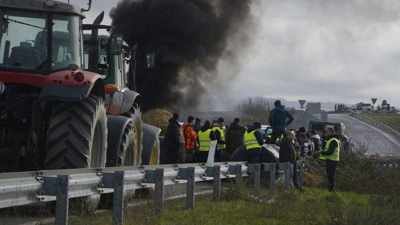 Rosa Veiga - Europa Press