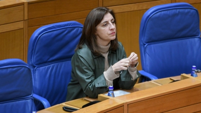 A conselleira de Medio Ambiente e Cambio Climático, Ángeles Vázquez, antes de intervir no debate do texto lexislativo