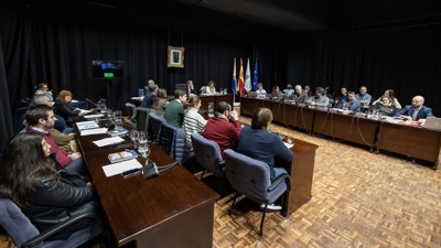 Imaxe dun pleno da corporación municipal de Pontevedra ( Beatriz Ciscar / Europa Press-Arquivo)