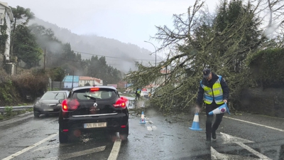 A Policía Local de Pontedeume sinaliza unha árbore caída sobre a N-651 (EFE/Cabalar) / En directo cámara web da CSAG en Ortigueira