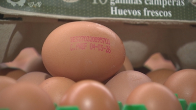 Un ovo co código impreso que o identifica como campeiro e dunha granxa de 'O ovo da avoa' na provincia de Lugo