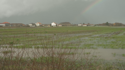 Imaxe directo: camara web CSAG Fisterra