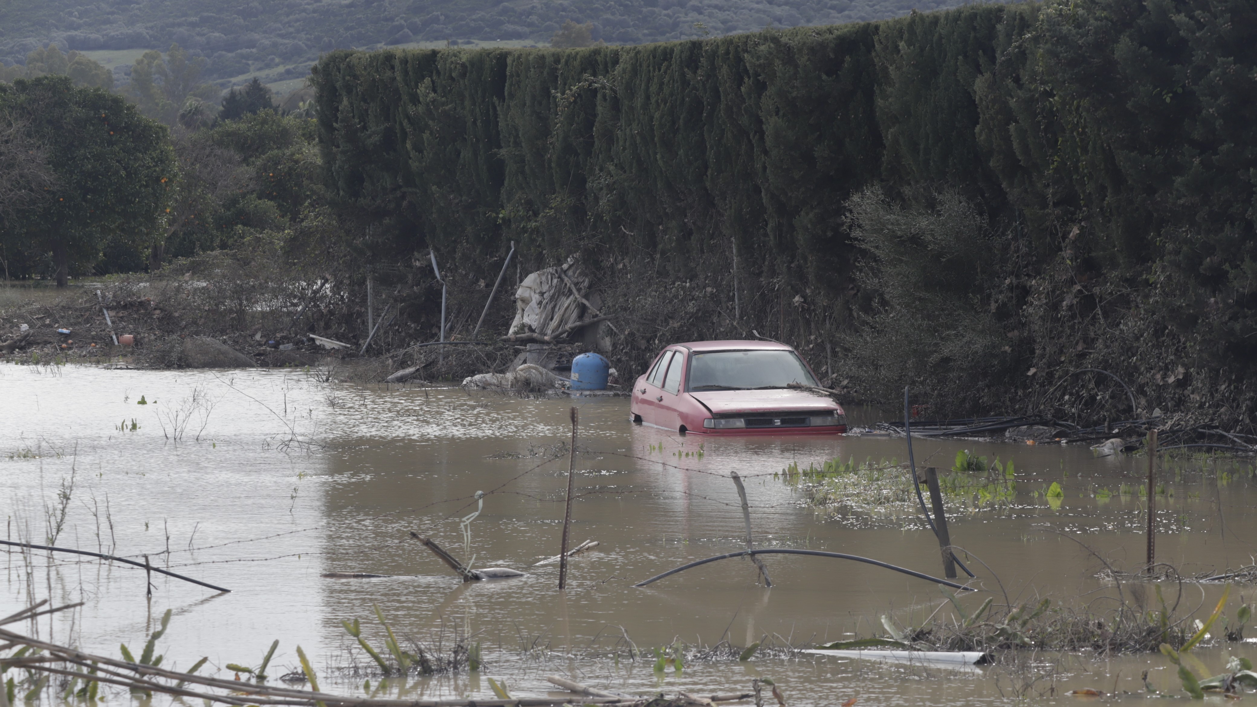 (Europa Press/Nono Rico)