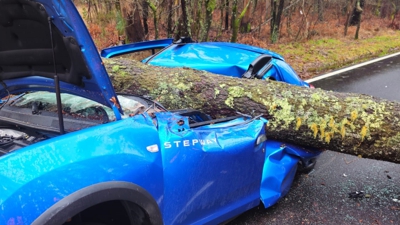 Árbore de 3.000 quilos que caeu sobre unha condutora en Caldas de Reis (Emerxencias Cuntis)