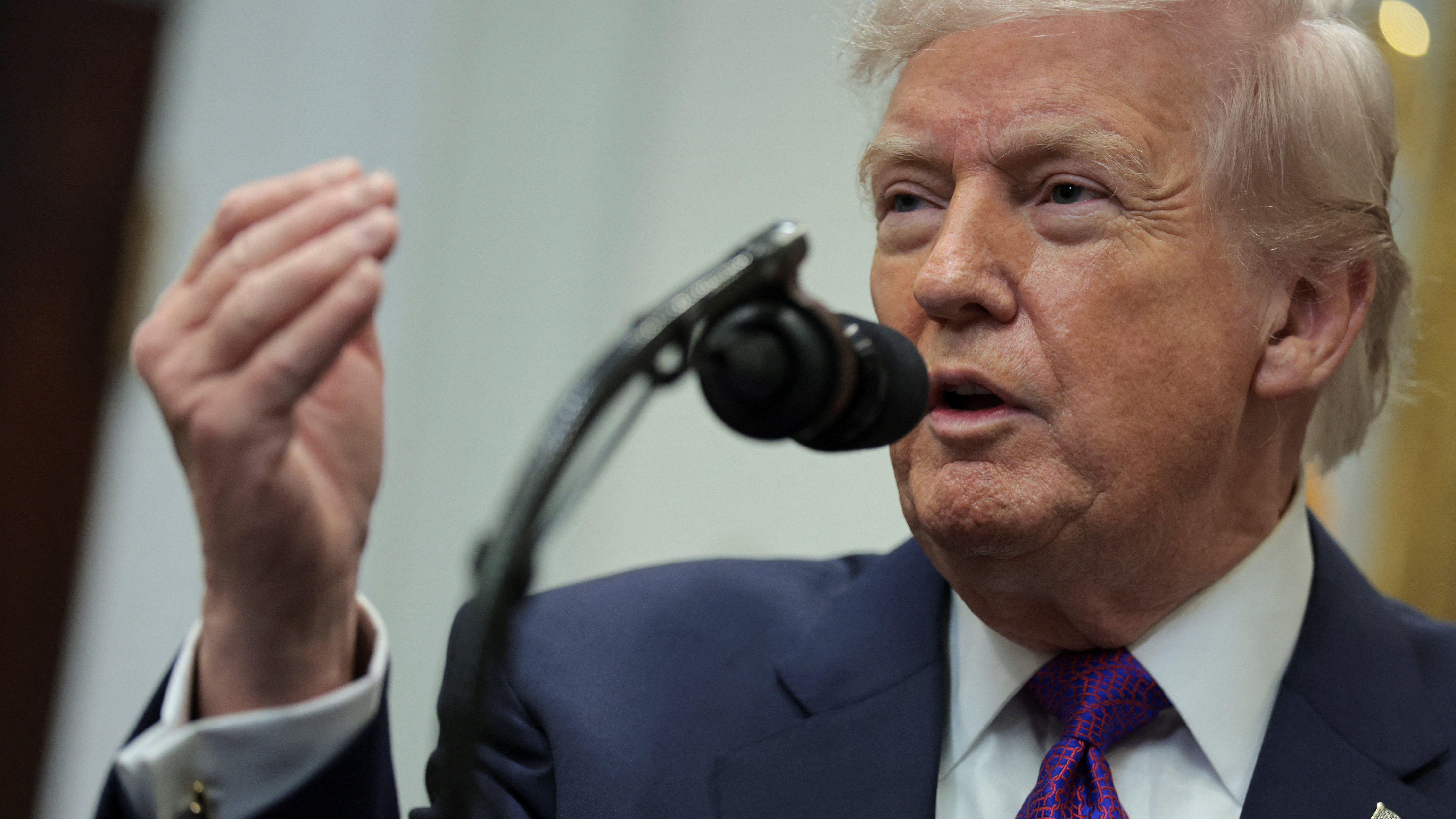 REUTERS/Jonathan Ernst