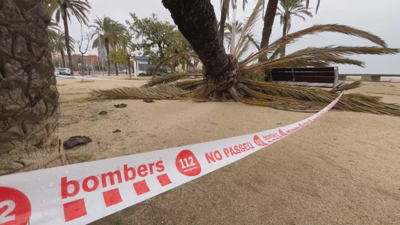 O vendaval do xoves causou un morto e dous feridos graves en Cataluña e agardan máis vento o sábado coa nova borrasca