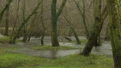 Imaxe: TVG/Directo: cámara web da CSAG en Muxía