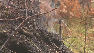 Imaxe de arquivo do incendio rexistrado o pasado verán en Toques