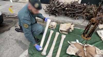 Os catro ósos de xirafa. EFE/Garda Civil