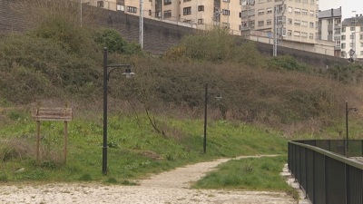 A bichería cría nas silvas na beira dereita do Rato