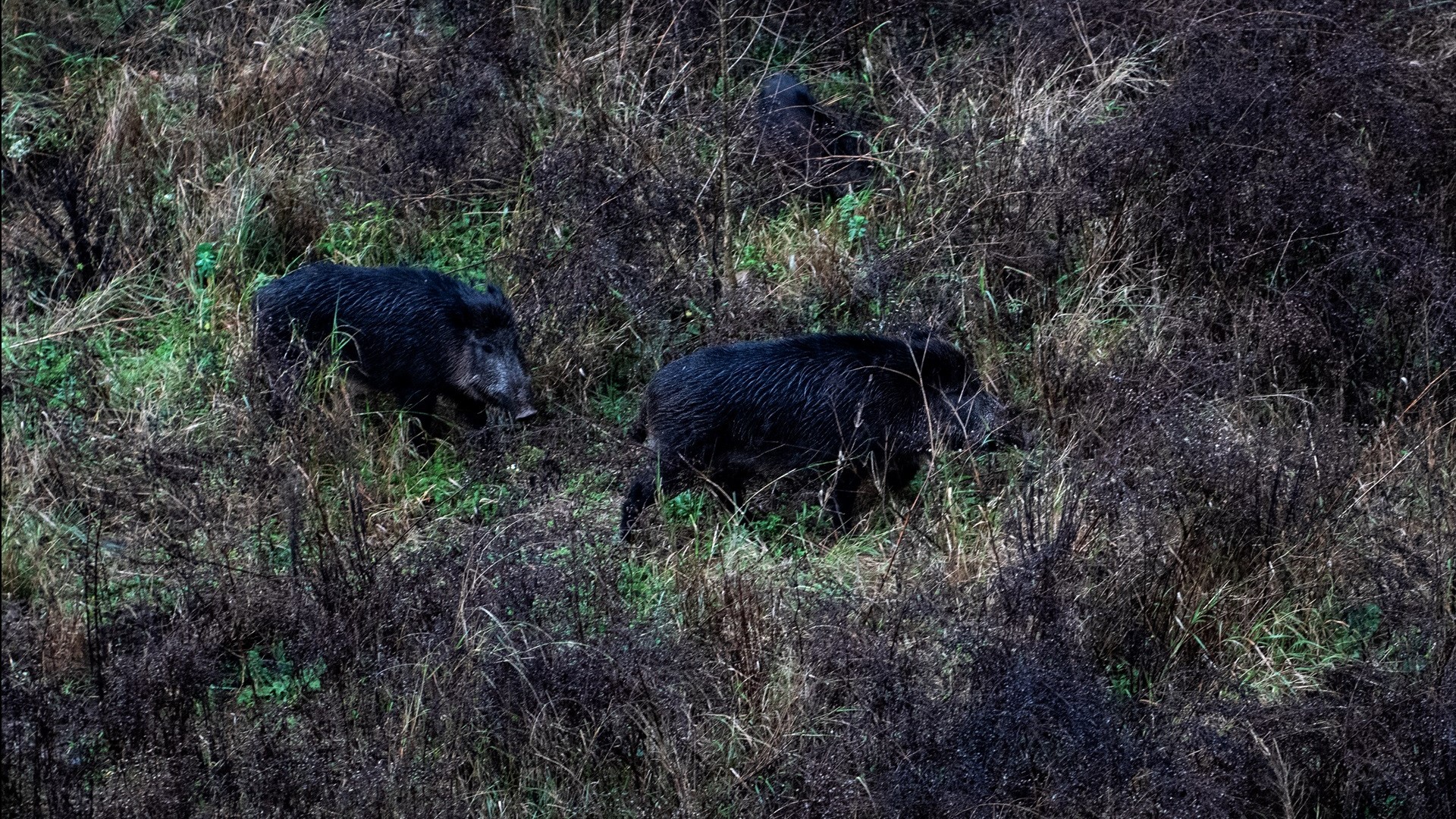 Glòria Sánchez/Europa Press