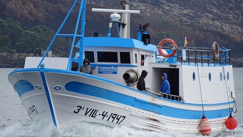 Imaxe de arquivo do Reisiño (Ministerio de Agricultura, Pesca e Alimentación)