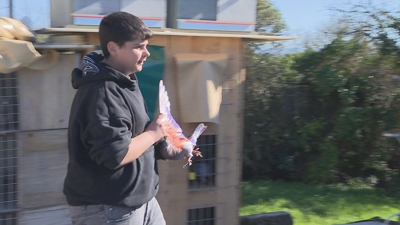 Salvador cun pombo coa as pintadas