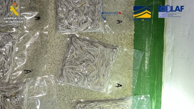 Imaxe cedida pola da Garda Civil