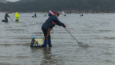Foto de arquivo/ Unha mariscadora en Muros-Noia