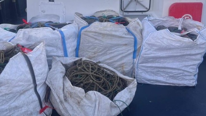 Gardacostas de Galicia